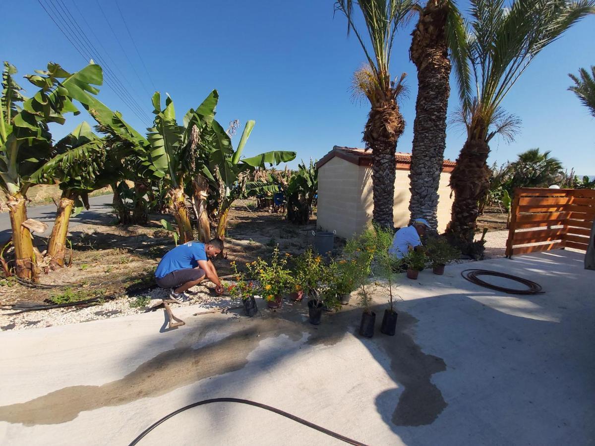 Argaka Palm Tree Apts Exterior foto
